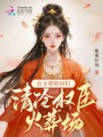 公主带娃回归,清冷权臣火葬场的封面