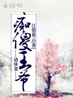 痴傻王爷请休妻的封面