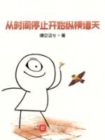 从时间停止开始纵横诸天的封面