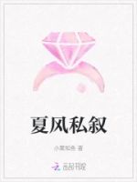 夏风私叙的封面