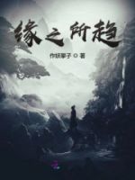 缘之所趋的封面