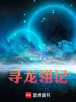 镜星寻龙翎记的封面