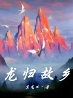 龙归故乡的封面
