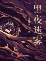 黑夜迷雾的封面