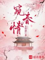 窥春情的封面