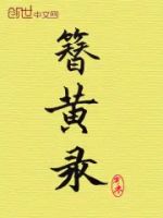 簪黄录的封面