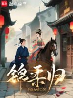 锦柔归的封面