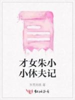 才女朱小小休夫记的封面