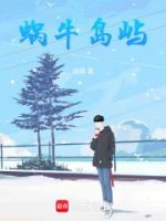 蜗牛岛屿的封面
